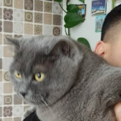 Ruslan Galimov, 23.05.1990