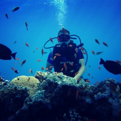 Максим Санторини, 22.12.1901