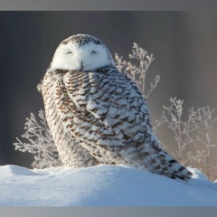 Александр Чужинов, 04.03, Санкт-Петербург