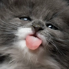 Андрей Ли, 16.07, Санкт-Петербург