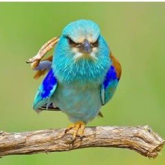 Жулдыз Бексултанова, 07.04, Кокшетау