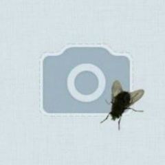 Сара Акаева, Актау