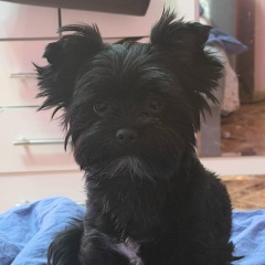 Ирина Гусева, Москва