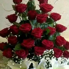 Dipesh Gandhi, 22.05.1968, Surat