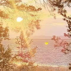 Светлана С, Абакан