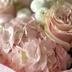 Виктория М, Сочи