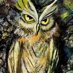 Антон Ван, 04.06, Shenzhen