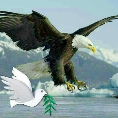 カ チョー, 24.04.1977