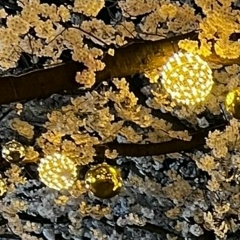 Наташа Шуга, 11.06.1985, Санкт-Петербург