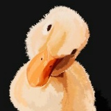 Влад Бондар, 21.10.1988