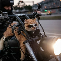 Юрий Мартыненко, 15.04, Санкт-Петербург