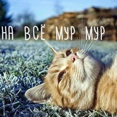 Cătălina Ţîbîrnac, 25.08.1997