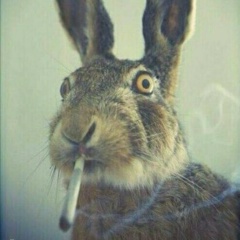 Семен Кириченко, 12.03.1984, Мурманск