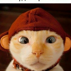 Максим Губский, 31.12.1980, Костомукша