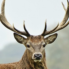 Валентин Юдашкин, 01.02, Алматы