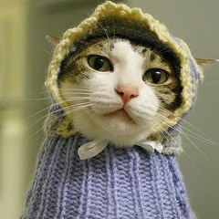 Алёнка Великолепная, 22.09.1985