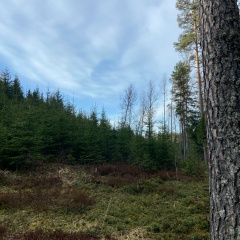 Виктор Гаврилов, 10.03.1990, Санкт-Петербург