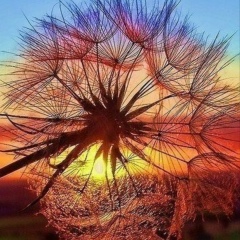 Света Алексеева, 01.08, Екатеринбург