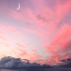 Tansholpan Khamzakhan, 21.05, Алматы