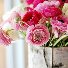 Николь Клико, 01.01