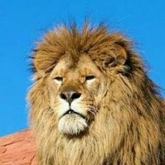 Егор Шумилов, 20.08, Новый Уренгой