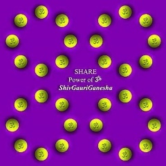 Алексей Плотников, Новосибирск