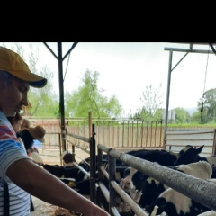 Лев Тернопiлськiй, 22.10, Санкт-Петербург