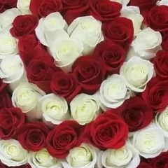 Наргиза Нусратова, 11.09.1978, Санкт-Петербург