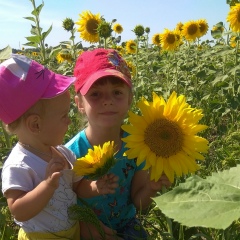 Елена Зейбель, Саратов