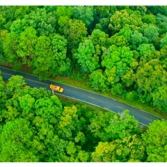 Natty Onzornde, Singapore