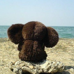 Юлия Михайловна, 09.01, Москва