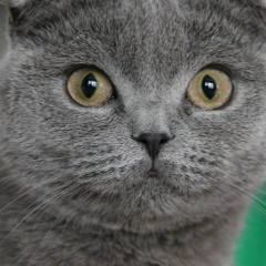 Рудольф Нуриев, 08.03.1985, Казань