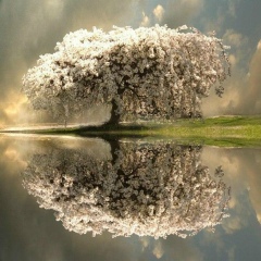 Мауыты Даулетова, 20.04.1973