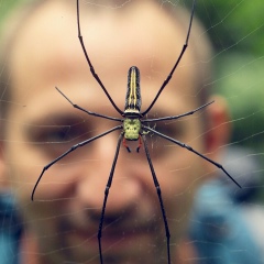 Михаил Горошков, 29.03.1981, Bellevue