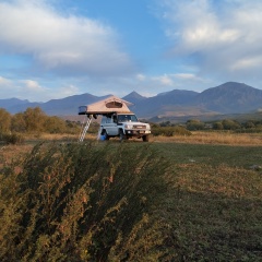 Урмат Алгыев, 12.11, Москва