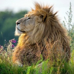 Серёга Дмитриев, 27.07, Мирный