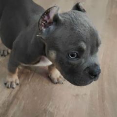 Екатерина Балатская, 02.08, Новороссийск