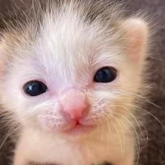 Юрий Прудников, 13.04.1992