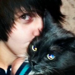 No Fellings, 29.07.1993