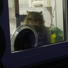 Ирина Протасова, 16.08, Санкт-Петербург