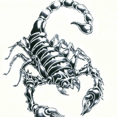 Роман Петров, 20.11.1986, Чебоксары