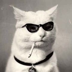 Дарья Воронова, 30.10.1990, Москва