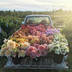 Абубакар Беноевский, 18.09, Тюмень