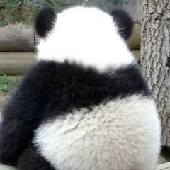 Брико Михаил, 17.08.1987, Караганда