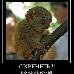 Анастасия Щербакова, Одесса