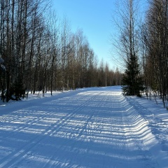 Дмитрий Жебрун, 18.04