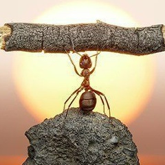 Едуард Циганаш, 02.11.1997, Кишинев