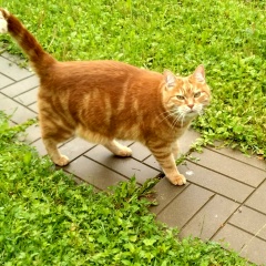 Akulina Belaya, 02.10, Москва