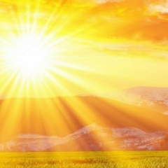 Батраз Дзираев, 26.11.1984, Владикавказ