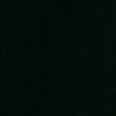 Елизавета Лысенко